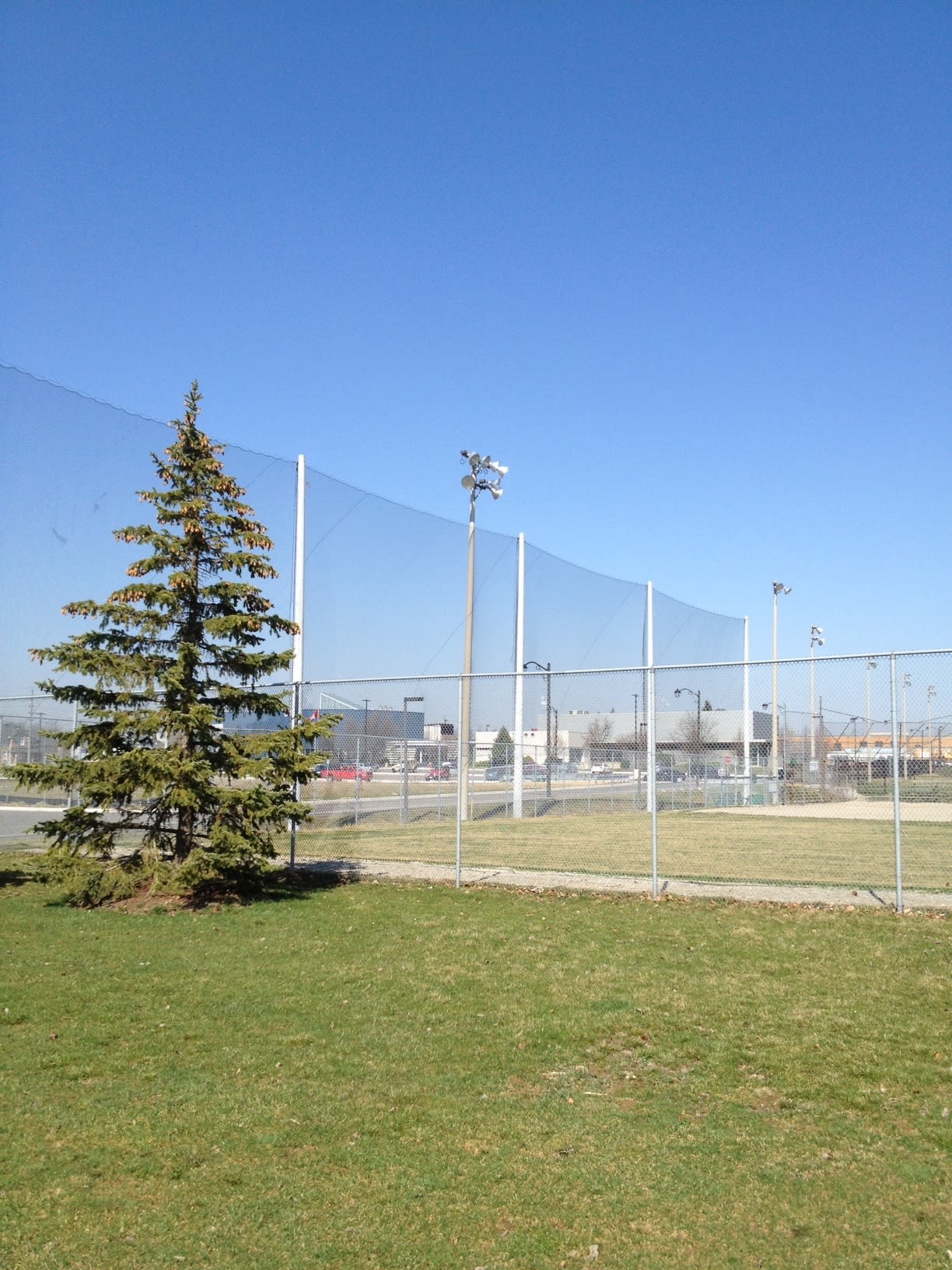 Milton Baseball Nets